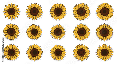 Collection of bright yellow sunflowers with dark centers