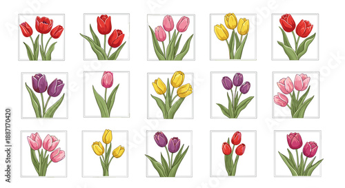 Collection of colorful tulips in various shades and arrangements