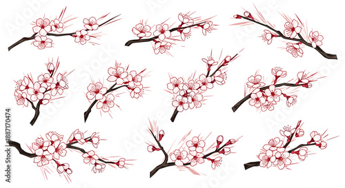 Collection of cherry blossom branches with pink flowers