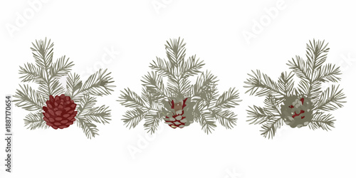 Three evergreen branches and pine cones a festive botanical illustration