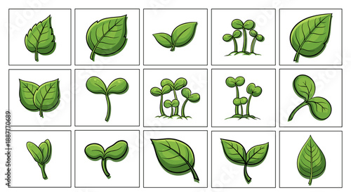 Collection of green leaves and sprouting plants