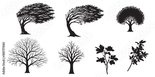 Collection of diverse tree silhouettes in minimalist style Vector