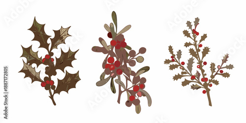 Festive botanical illustration featuring three branches of holly and mistletoe