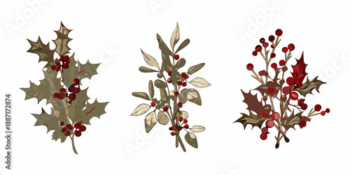 A collection of illustrated holly and berry branches with warm tones