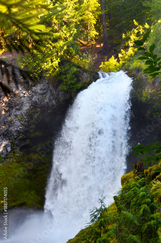 Bild auf Leinwand Overlook at Sahalie Falls in Oregon