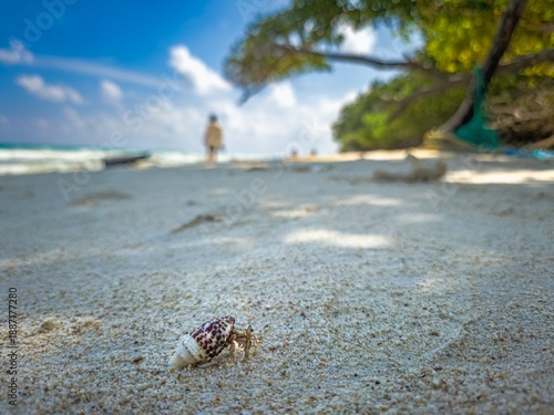 Photography Andaman and Nicobar islands India, winter trip photos