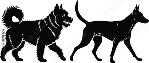 Large collection of black silhouettes featuring various dog breeds of different sizes and heights isolated on white background for pet care veterinary and animal community design
