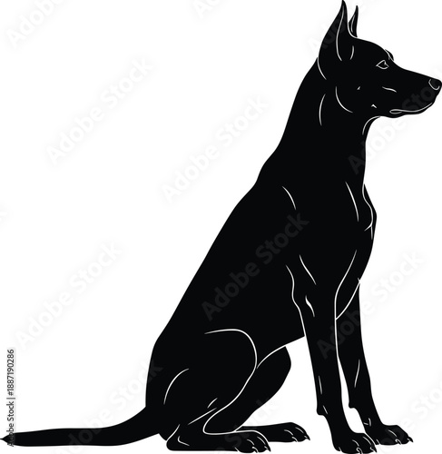 Sitting dog silhouette profile view, loyal canine posture, obedience, training and pet companionship concept isolated on white background