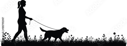 Woman walking dog on leash silhouette, outdoor pet care routine, companionship, exercise and peaceful lifestyle scene isolated on white background