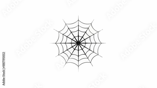Intricate spider web design on a plain white background.