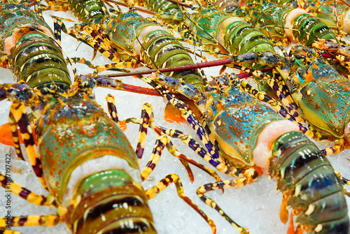 Fotografija Fresh lobsters on ice, close-up