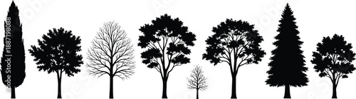 Collection of tree silhouettes in different shapes and sizes, forest and nature illustration showcasing botanical diversity, landscape design elements, and natural outdoor environment concept