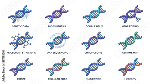 Genetic engineering DNA helix icons set. Biotechnology molecular structure infographic elements. Genome sequencing CRISPR gene editing chromosome analysis symbols in isometric vector style