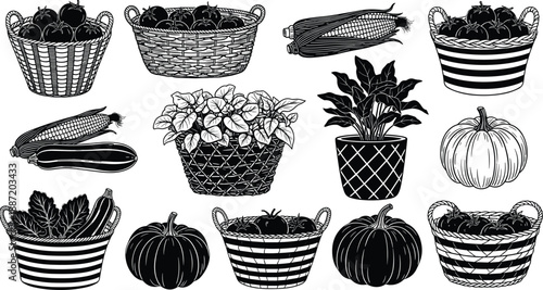 Farmers market produce illustration with wicker baskets of vegetables, pumpkins and corn, rustic hand drawn black and white farm food collection