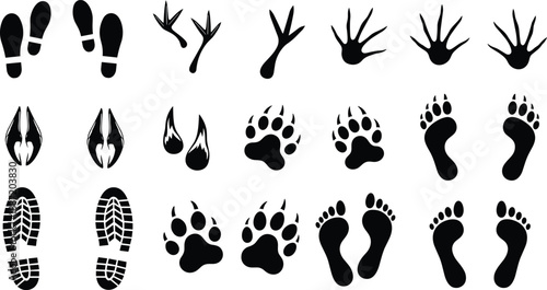 Collection of black silhouette animal and human footprints and tracks paw print animal track
