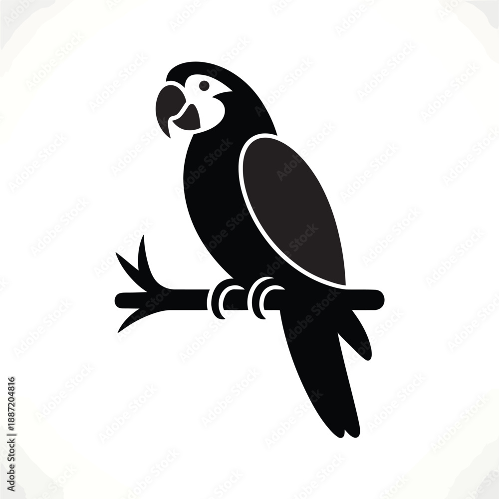 Fototapeta premium Black and white parrot perched on a branch with rings bird