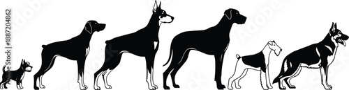Silhouettes of different dog breeds in side view lineup, pet collection illustration showcasing size variation, diversity, loyalty, companionship, and modern domestic animal concept