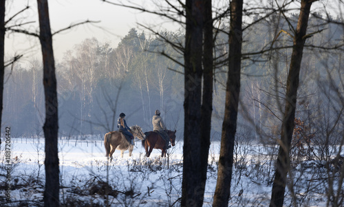 Wallpaper Mural Horseback riding in a snowy winter. Riders in the field, fields, and forests. Torontodigital.ca