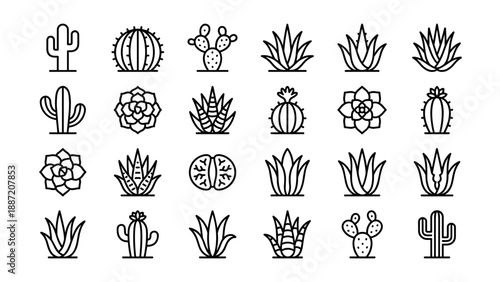 Minimalist Vector Icon Set of 24 Cacti and Succulents including Saguaro, Aloe Vera, Agave, and Echeveria. Clean Black Line Art with Uniform Stroke Width for Web Design, Apps, and Botanical Projects.