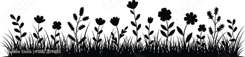 Black silhouette of flowers and grass on white background for design and decoration purposes