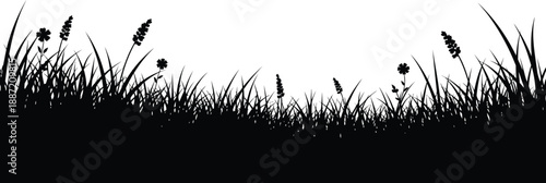 Black silhouette of grass and flowers against white background for design and decoration purposes