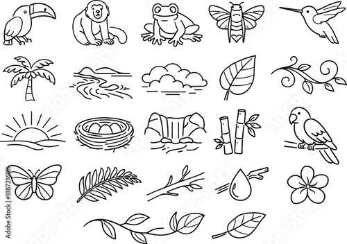 Line style icons of dawn chorus in rainforest: toucan, howler monkey, tree frog, cicada, hummingbird, palm tree, stream, morning