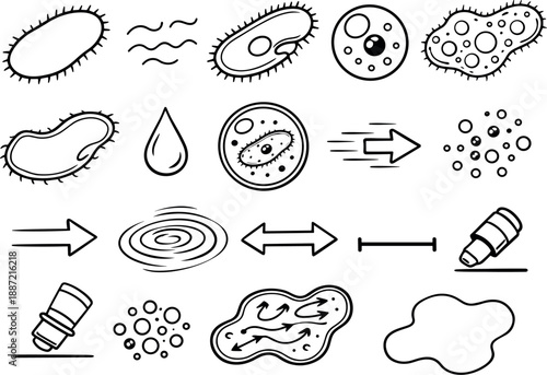 Line style icons of paramecium feeding and movement: paramecium outline, cilia, oral groove, nucleus, food vacuole, cell membrane