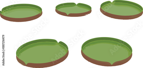 Green water lily pad leaves set, aquatic pond plant illustration, lotus leaf vector collection isolated on white background