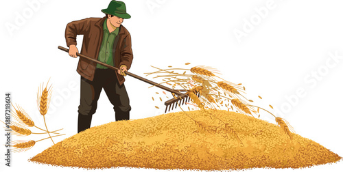 Farmer threshing grain after harvest vector illustration, traditional agriculture worker separating wheat and rice grains, rural farming and food production concept, isolated flat design