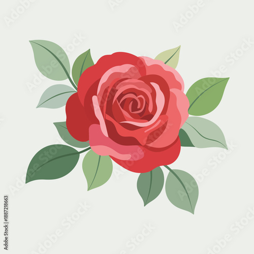 A single red rose with green leaves in a flat petals