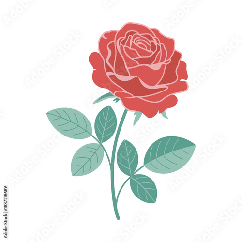 A single red rose with green leaves on a white background