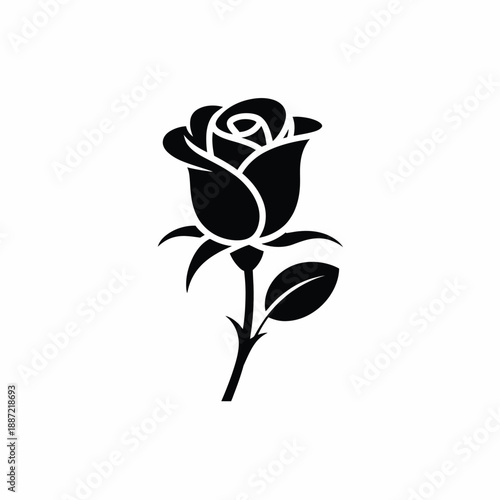 Minimal black and white of a single rose with leaves