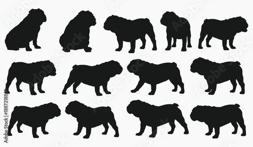 Diverse silhouettes of charming bulldog dogs in various poses and stances