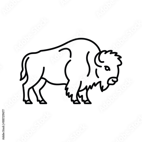 Black and white line of a bison standing line black and white animal wildlife mammal