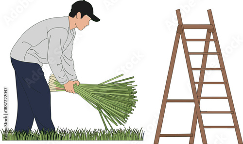 Farmer harvesting crops vector illustration, agricultural worker collecting green plants with ladder, rural farming and manual labor concept, isolated flat design