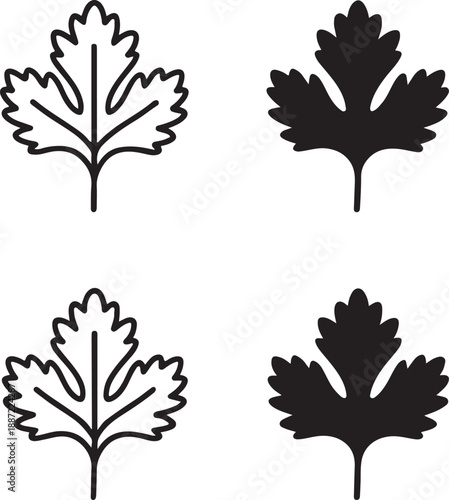 isolated coriander leaf icon, coriander leaf silhouette, herb ingredient icon, cooking herb symbol, kitchen spice design, food ingredient vector, organic herb icon, minimal solid icon