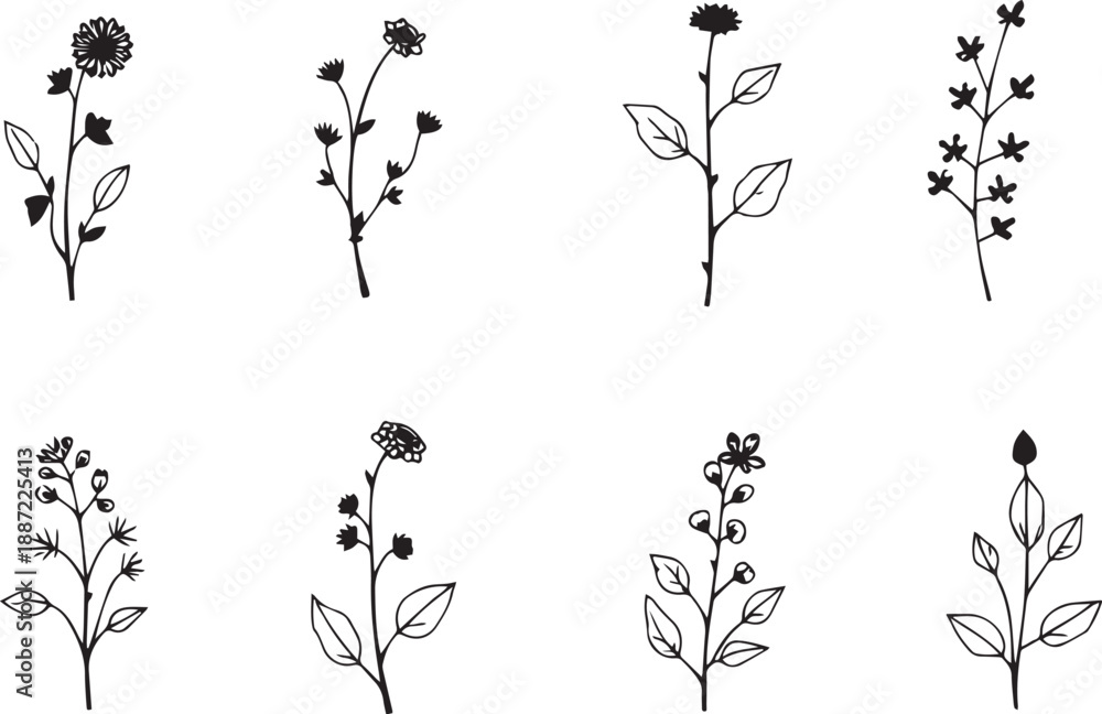 Fototapeta premium A set of plants