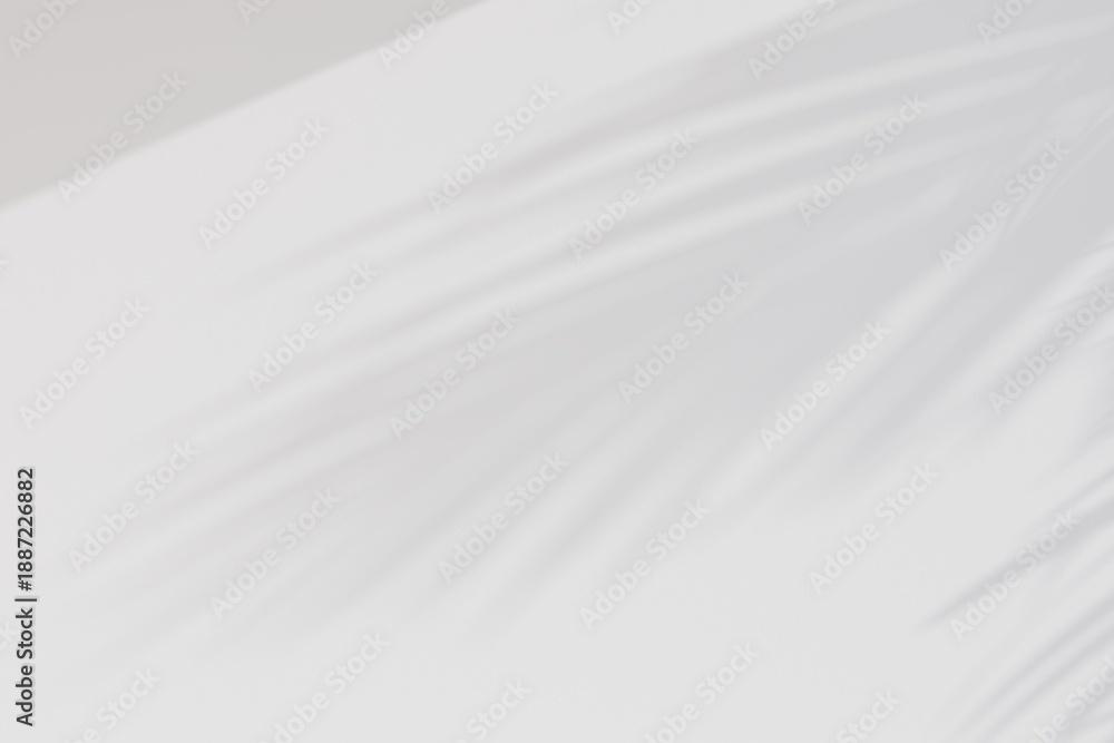Obraz premium Tropical Palm Leaf Shadow on White Interior Wall. 3d render