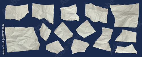 Set of pieces of torn crumpled paper of various sizes with rough edges