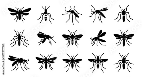Collection of various mosquito silhouettes in different poses and angles.
