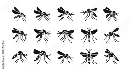 Collection of various mosquito illustrations in black and white.