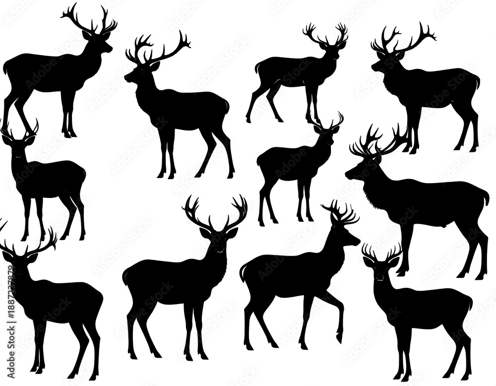 Naklejka premium Silhouette of a deer herd, wildlife concept, black and white.