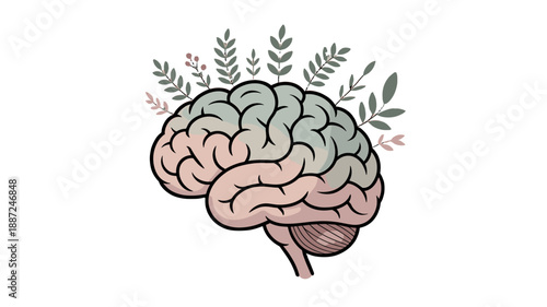 The illustration of brain with plant concept.