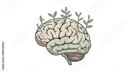 The growth of a plant from brain concept.