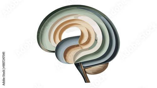 An artistic representation of the human brain.