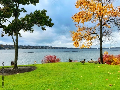 Gene Coulon Memorial Beach Park Autumn in Renton, near Seattle, Washington