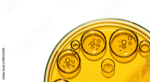 Close-up view of petri dish containing yellow liquid with bubbles, laboratory setting, scientific experiment