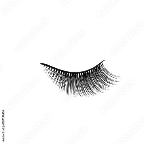 Elegant false eyelashes isolated on transparent background isolated on transparent background