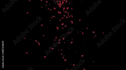 
red hearts falling on transparent background