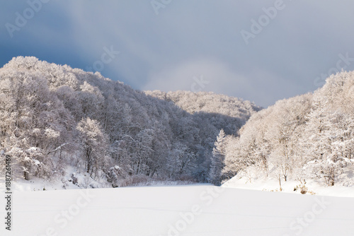 Wallpaper Mural 雪国の静かで穏やかな朝の雪に覆われた冬の里山 Torontodigital.ca